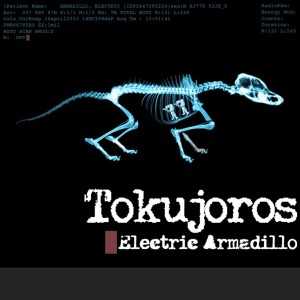 Dengarkan You Make Me Mad (Kassey Voorn Remix) lagu dari Tokujoros dengan lirik