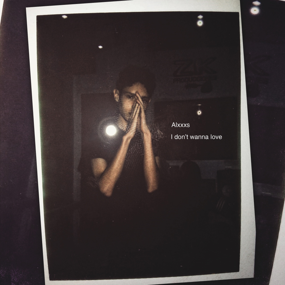 I Don't Wanna Love