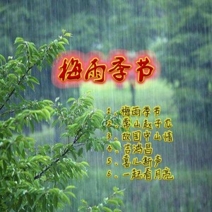 อัลบัม 梅雨季节 ศิลปิน 刘秀文