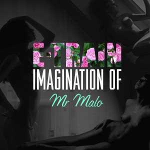 Album Imagination of Mr. Malo oleh E-Train