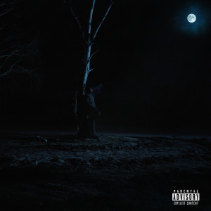 Album 120 (Explicit) from Aero