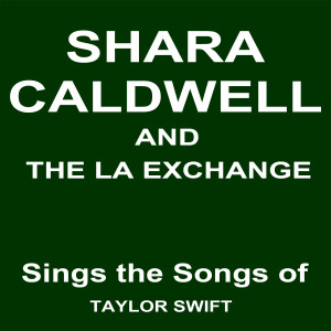 ดาวน์โหลดและฟังเพลง Blank Space (Drum & Bass Mix) พร้อมเนื้อเพลงจาก Shara Caldwell and the LA Exchange