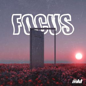 MKL的專輯Focus