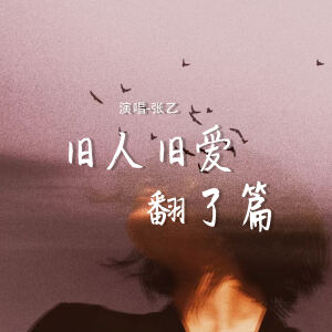 Album 旧人旧爱翻了篇 from 张乙