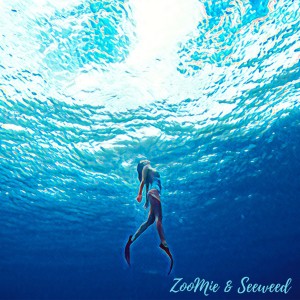 Album Deep from 