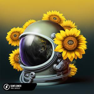 Album Sunflower oleh Twin