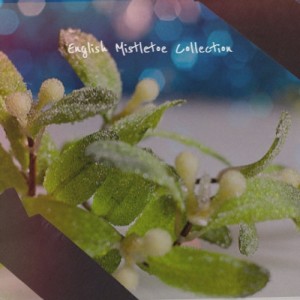 收听Las Ardillitas De Lalo Guerrero的Carta a Santa Claus歌词歌曲