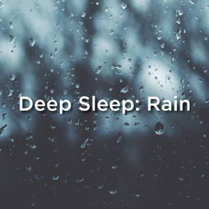 Relaxing Rain Sounds的专辑Deep Sleep: Rain