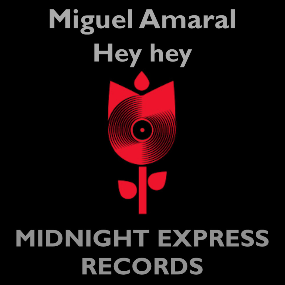 feel my fire (Phonic lounge remix)