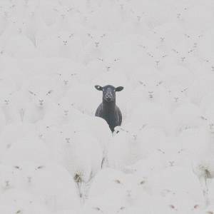 收聽J Avrey的CHASE IT (Explicit)歌詞歌曲