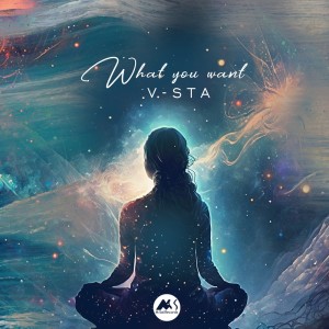 Album What You Want from V-Sta
