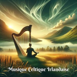 Dengarkan lagu Flûte celtique belle musique nyanyian Ensamble de Musique Méditation dengan lirik