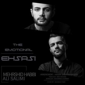 Listen to Ehsasi(feat. Ali Salimi) song with lyrics from Mehrshid Habibi