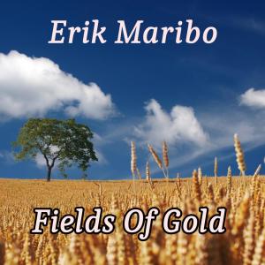 收聽Erik Maribo的Fields of Gold歌詞歌曲