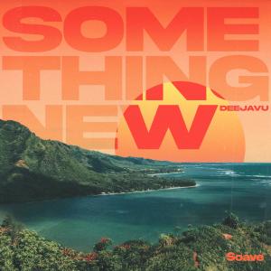 Album Something New from DeeJaVu