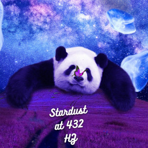 Album The Ballad Of The Panda from Stardust at 432Hz