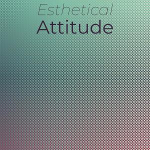 Various Artists的专辑Esthetical Attitude