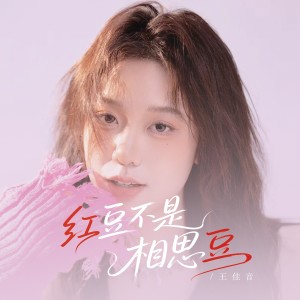 Album 红豆不是相思豆（激情版） from 王佳音