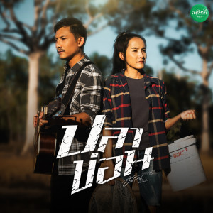Listen to ปลาข่อน song with lyrics from อ้ายโทน คนอินลำ
