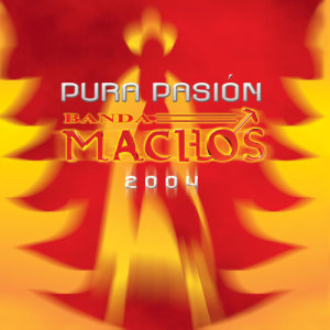 ดาวน์โหลดและฟังเพลง Vas a pagar พร้อมเนื้อเพลงจาก Banda Machos
