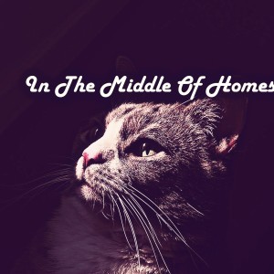 Listen to In The Middle Of Homes song with lyrics from DJ Wood