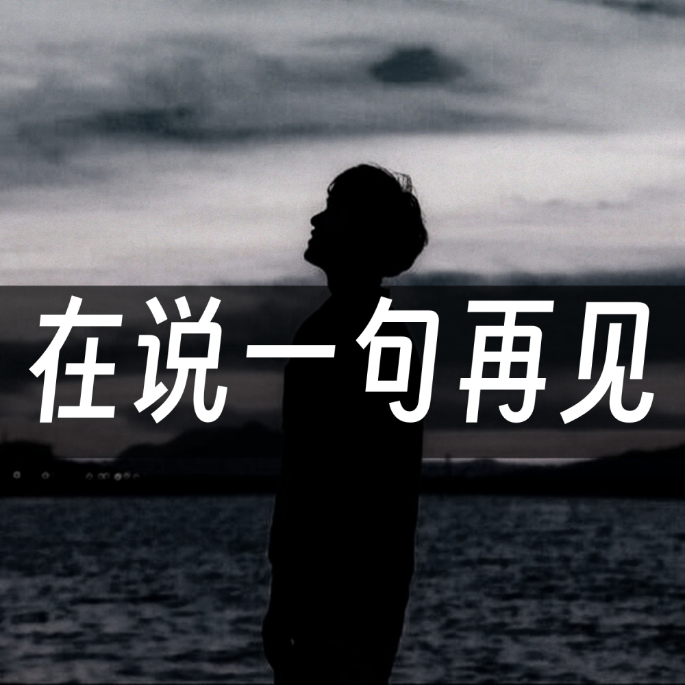在说一句再见 (伴奏)
