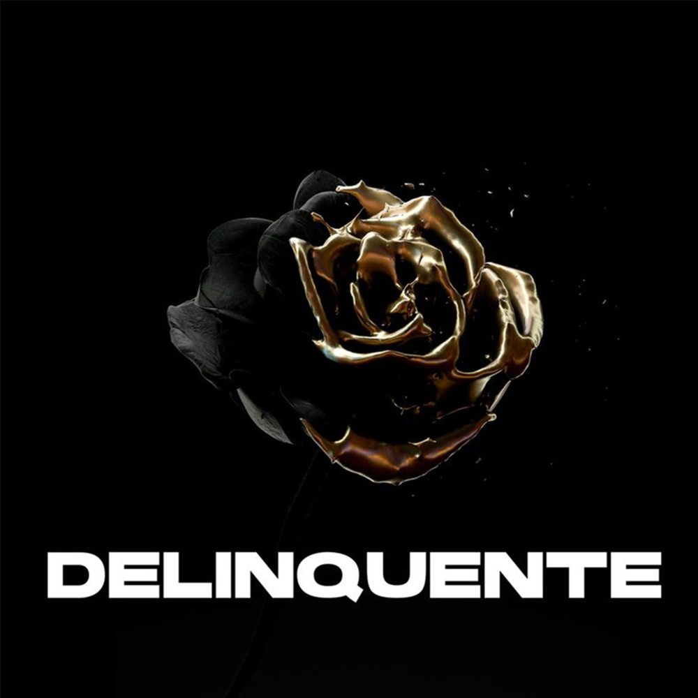 Delinquente (feat. Ntò)