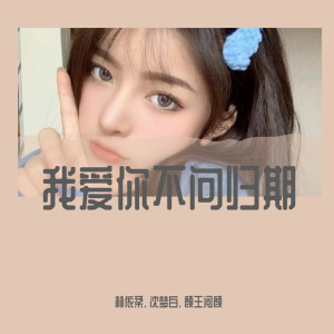 Listen to 温柔留给意中人（DJ诗琦版） (DJ诗琦版) song with lyrics from 林依柔