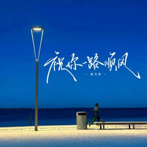 Album 祝你一路顺风 from 赵乃吉