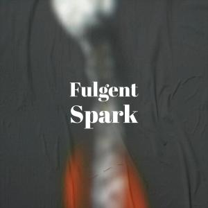 Album Fulgent Spark from Various