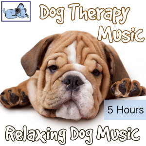 Dengarkan Dog Training Music lagu dari Relaxmydog dengan lirik