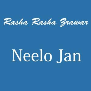 Listen to Shaba Shaba song with lyrics from Neelo Jan