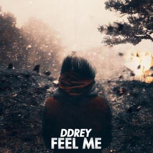 收听DDRey的Feel Me歌词歌曲