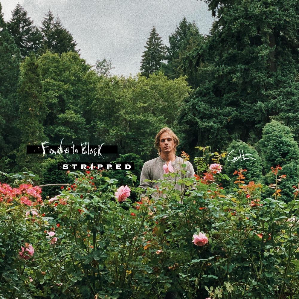 Fade to Black (stripped) (Explicit) (stripped|Explicit)