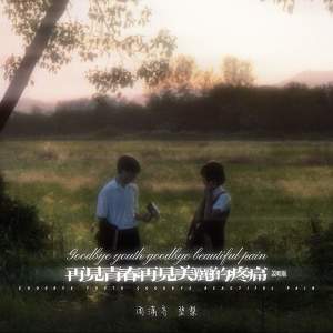 Listen to 再见青春再见美丽的疼痛 (说唱版) song with lyrics from 周潇齐