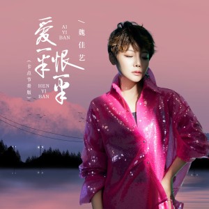 Album 爱一半恨一半（卡点节奏版） from 魏佳艺