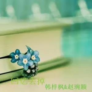 Album Hui Yi Diu Diao from 韩梓枫