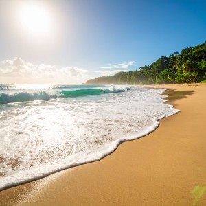 Cuna Dorada的專輯Msica Para Volverse Aire Entre Las Olas De La Quietud