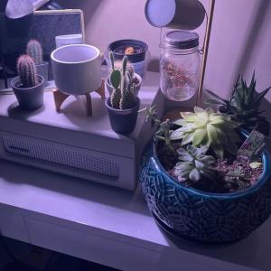 收聽CATVLYST的Next (feat. Quiet Mercenary) (Explicit)歌詞歌曲