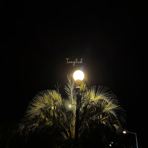 Listen to A Light Tread song with lyrics from 박헌서 Hunsintheair