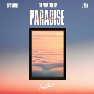 อัลบัม Paradise ศิลปิน The Palm Tree Boy