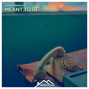 Listen to Meant To Be song with lyrics from Sasha Primitive