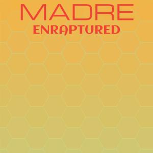 Listen to Madre Enraptured song with lyrics from Ardo Dancs