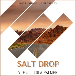 Lola Palmer的專輯Salt Drop