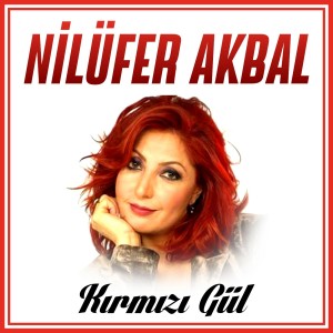 Album Kırmızı Gül from 