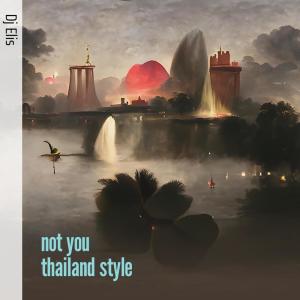Album Not You Thailand Style (Remix) from dj elis