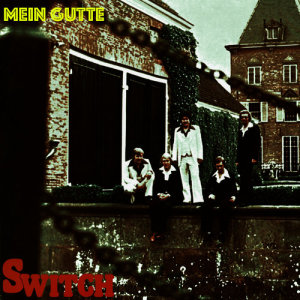 收聽Switch的Das es immer einen gibt歌詞歌曲