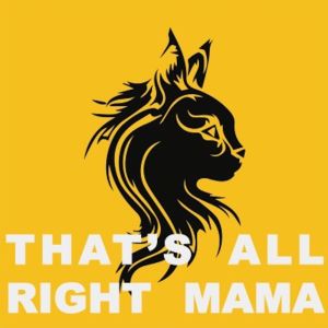 Various Artists的專輯That's All Right Mama