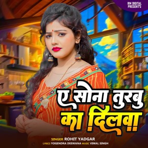 Listen to A Sona Turabu Ka Dilwa song with lyrics from Rohit Yadgar
