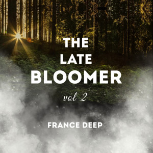 Album The Late Bloomer, Vol. 2 from France Deep